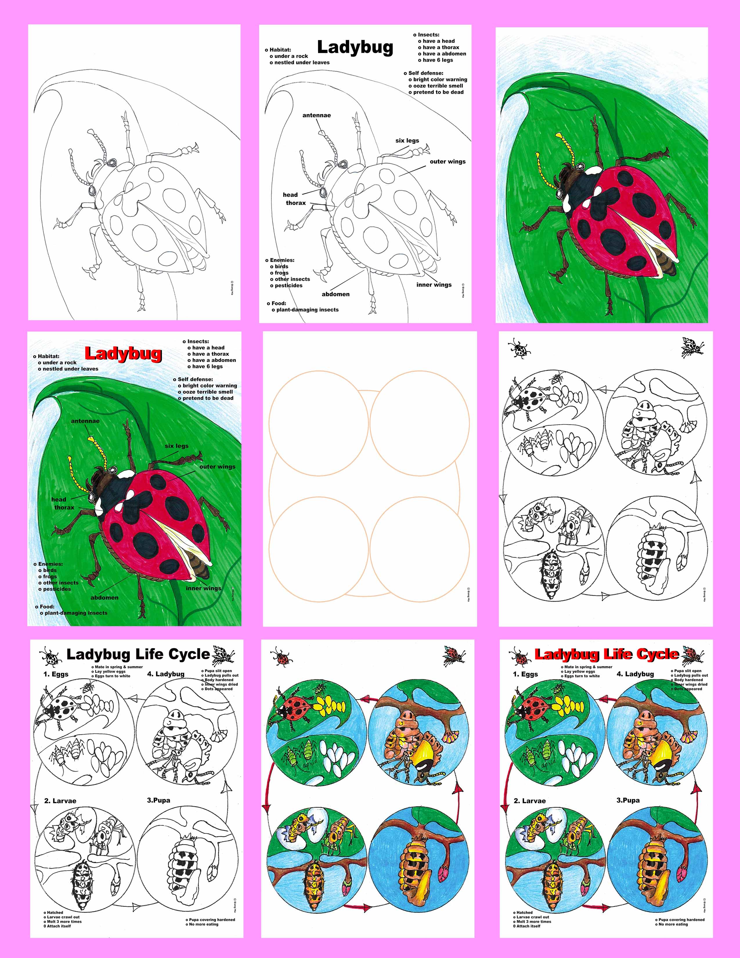 Preview Image 2 of 129