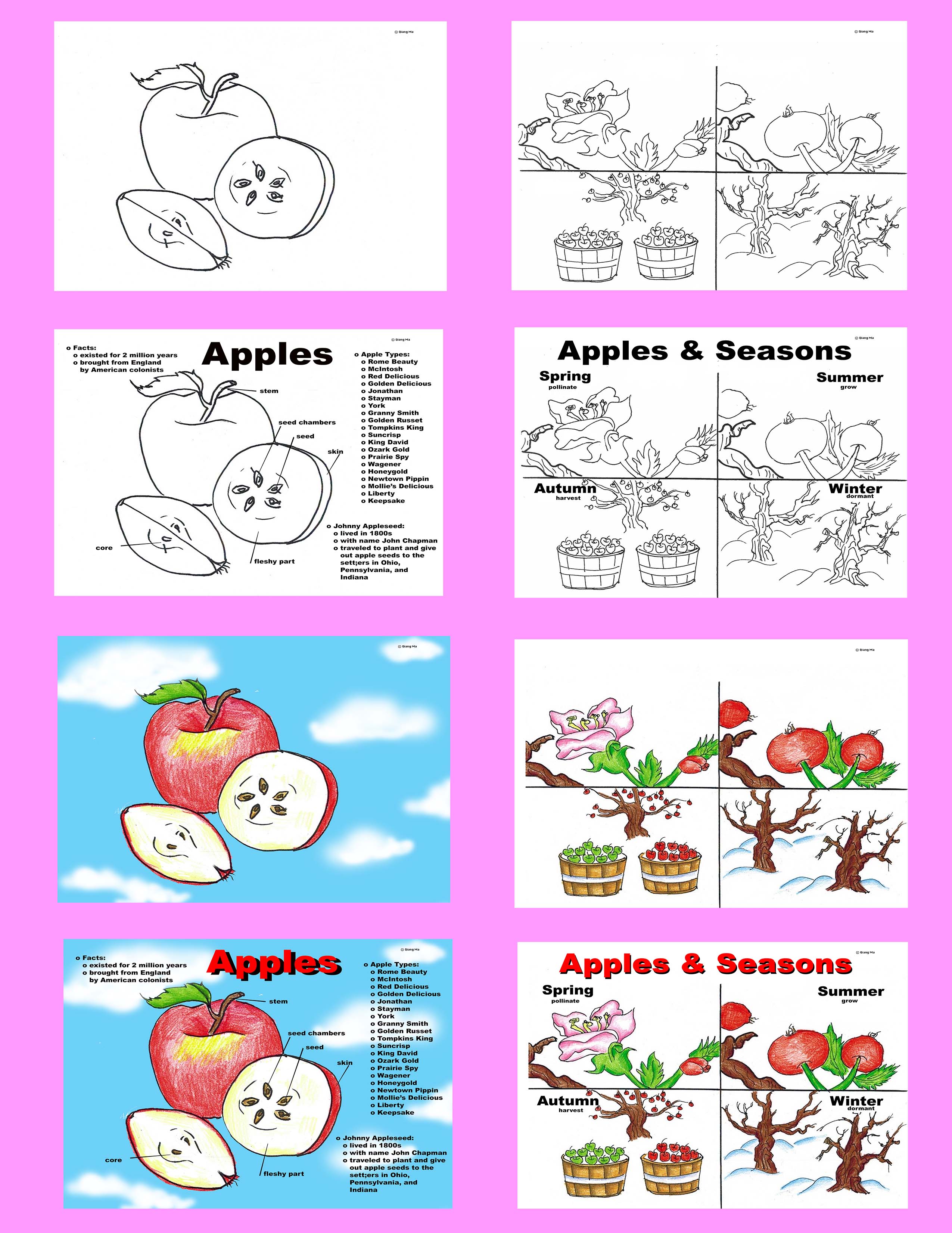 Preview Image 2 of 36